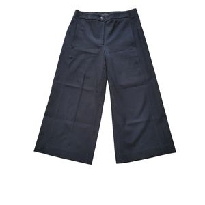 Ann Taylor Wide Leg Petite Trousers